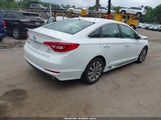 Hyundai Sonata Sport 5NPE34AF1HH554864 снимка