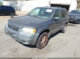 Ford Escape Xlt 1FMYU03193KA03897 fotografie