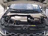 Land Rover Range Rover Evoque S SALZJ2FX5LH088028 снимка