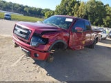 Ford F-150 Fx4 1FTFW1EF0EFC37863 fotografie