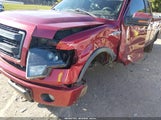 Ford F-150 Fx4 1FTFW1EF0EFC37863 fotografie