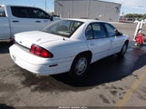 Chevrolet Lumina 2G1WL52M6X1105289 photo