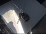 Miniaturka zdjęcia 11
