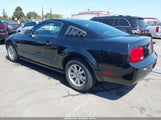 Ford Mustang V6 Deluxe/V6 Premium 1ZVFT80N955110399 снимка