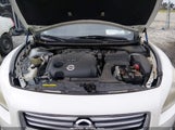 Nissan Maxima 3.5 Sv 1N4AA5AP3DC801073 fotografie