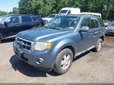 Ford Escape Xlt 1FMCU0D74AKA53407 снимка