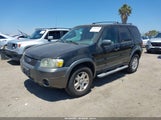 Ford Escape Xlt/Xlt Sport 1FMCU93156KB36255 photo