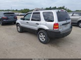 Ford Escape Xlt/Xlt Sport 1FMYU93187KB37438 fotografie