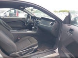 Ford Mustang V6 1ZVBP8AM2B5138517 fotografie