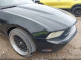 Ford Mustang Gt/Gt Premium 1ZVBP8CHXA5101519 fotografie