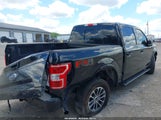 Ford F-150 Xlt 1FTEW1E55LFA57049 photo