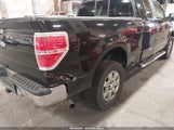 Ford F-150 Xlt 1FTFX1ET4EKD53318 fotografie