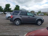Ford Escape Xlt 1FMCU9D76BKB75420 fotografie