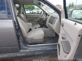 Ford Escape Xlt 1FMCU9D76BKB75420 fotografie