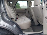 Ford Escape Xlt 1FMCU9D76BKB75420 fotografie
