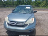 Honda Cr-V Lx 5J6RE3H36AL033135 photo