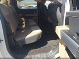 Ford F-150 King Ranch/Lariat/Platinum/Xl/Xlt 1FTEW1C88PFA08219 photo