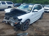 Alfa Romeo Stelvio Ti Sport Awd ZASPAKBN3M7D00734 fotografie