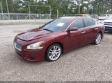 Nissan Maxima 3.5 Sv 1N4AA5AP8AC863399 photo