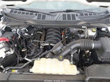 Ford F-150 King Ranch/Lariat/Platinum/Xl/Xlt 1FTFW1E55NKE05124 photo