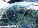 Hyundai Elantra Sel Convenience KMHLS4DG0SU939159 photo