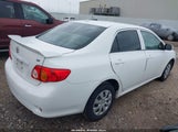 Toyota Corolla Le 2T1BU4EE4AC376295 photo