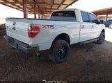 Ford F-150 Xlt 1FTFW1ET1EFA02085 снимка