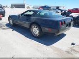 Chevrolet Corvette 1G1YY23P4P5113309 fotografie