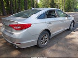 Hyundai Sonata 5NPE24AF6HH532524 снимка