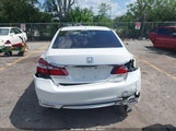 Honda Accord Ex-L V-6 1HGCR3F8XGA005732 photo
