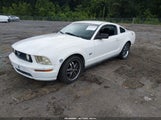 Ford Mustang V6 Deluxe/V6 Premium 1ZVFT80N355131037 photo