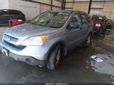 Honda Cr-V Lx 5J6RE48307L013381 photo