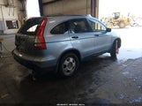 Honda Cr-V Lx 5J6RE48307L013381 photo