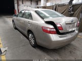 Toyota Camry JTNBE46K693165195 fotografie