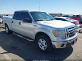 Ford F-150 Fx2 Sport/Harley-Davidson/King Ranch/Lariat/Platinum/Xl/Xlt 1FTFW1CVXAFB86280 fotografie