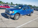 Ford F-150 Fx4/King Ranch/Lariat/Platinum/Xl/Xlt 1FTFW1EF8DKE94260 fotografie