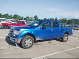 Ford F-150 Fx4/King Ranch/Lariat/Platinum/Xl/Xlt 1FTFW1EF8DKE94260 photo