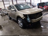 Ford Edge Limited 2FMDK4KC5DBB58294 fotografie