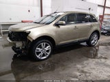 Ford Edge Limited 2FMDK4KC5DBB58294 fotografie