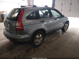 Honda Cr-V Lx 5J6RE48319L055920 fotografie