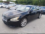 Nissan Maxima 3.5 Sv 1N4AA51E59C816101 photo
