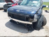 Hyundai Palisade Calligraphy KM8RM5S22TU018936 photo