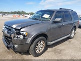 Ford Expedition Xlt 1FMJU1H54EEF26328 fotografie