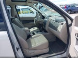 Ford Escape Xlt 1FMCU9DG8CKC81174 photo