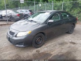 Toyota Corolla Le 2T1BU4EE2AC530082 fotografie