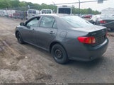 Toyota Corolla Le 2T1BU4EE2AC530082 fotografie