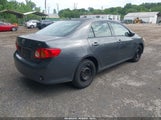 Toyota Corolla Le 2T1BU4EE2AC530082 fotografie