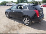 Cadillac Srx Performance Collection 3GYFNFE35FS584778 снимка