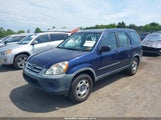 Honda Cr-V Lx JHLRD78575C034773 photo