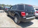 Ford Escape Xlt 1FMCU0DG6BKA08910 fotografie
